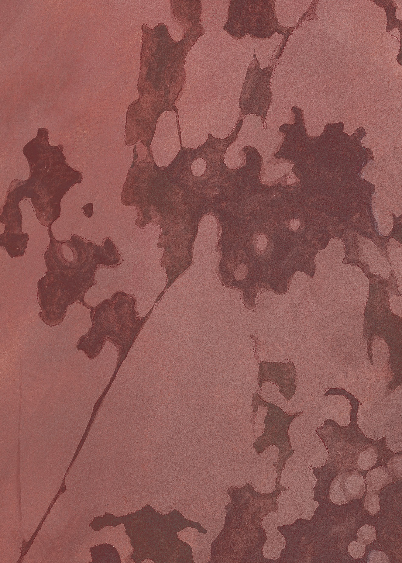 Silke — detail leaves